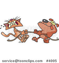 Cartoon Bull Dog and Cat Playing Tug of War by Toonaday