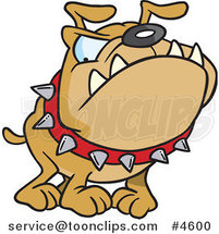 Cartoon Bulldog Wearing a Spiked Collar by Toonaday