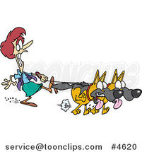 Cartoon Two Big German Shepherds Pulling a Dog Walker on a Leash by Toonaday