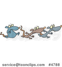 Cartoon Rats Racing by Toonaday