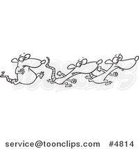 Cartoon Black and White Line Drawing of Rats Racing by Toonaday