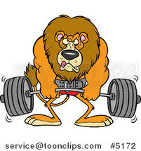 Cartoon Lion Weightlifting by Toonaday