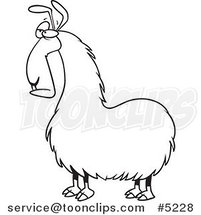 Cartoon Black and White Line Drawing of a Bored Llama by Toonaday