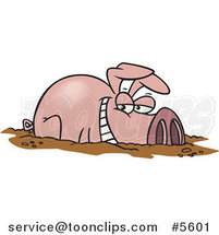 Cartoon Happy Pig in a Mud Puddle by Toonaday