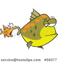 Cartoon Unamused Big Green Fish Looking Back at an Optimistic Orange Fish Trying to Attack by Toonaday