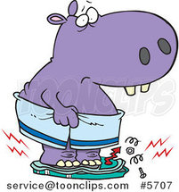 Cartoon Heavy Hippo Crushing a Scale by Toonaday