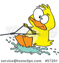 Cartoon Duck Water Skiing by Toonaday