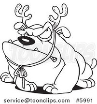 Cartoon Black and White Line Drawing of a Grouchy Bulldog Wearing Antlers by Toonaday