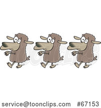 Cartoon Line of Sheep Following by Toonaday