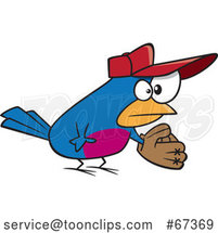 Cartoon Baseball Bird by Toonaday