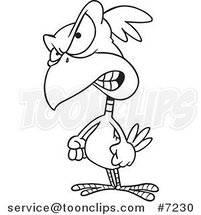 Cartoon Black and White Line Drawing of a Feisty Bird by Toonaday