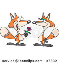 Cartoon Romantic Fox Giving His Mate a Flower by Toonaday