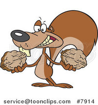 Cartoon Squirrel Holding Two Nuts by Toonaday