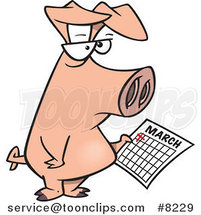 Cartoon Pig Holding a Calendar by Toonaday