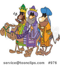 Cartoon Three Wise Dudes Wearing Shades and Riding Camels by Toonaday