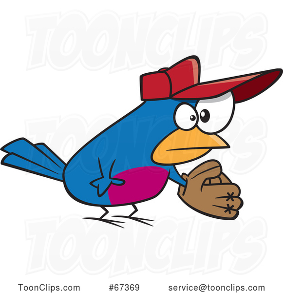 Cartoon Baseball Bird