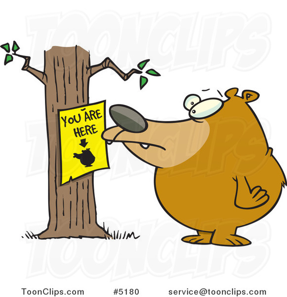 Cartoon Bear Staring at a You Are Here Sign