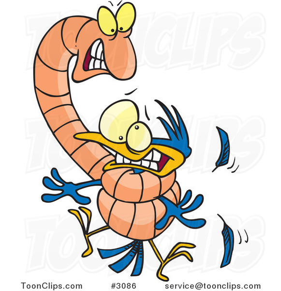 cartoon-big-worm-strangling-a-bird-by-toonaday-3086.jpg