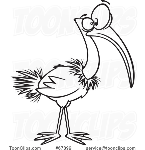 Cartoon Black and White Ibis Bird