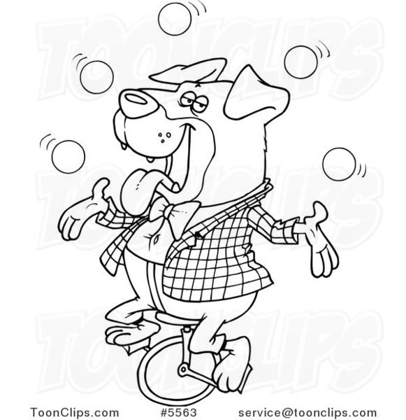 Cartoon Black and White Line Drawing of a Juggling Rottweiler on a Unicycle