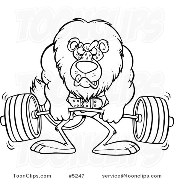 Cartoon Black and White Line Drawing of a Lion Weightlifting