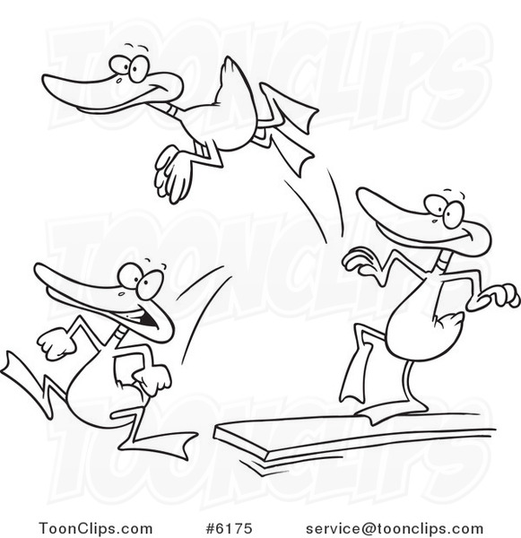 Cartoon Black and White Line Drawing of Mallard Ducks Jumping off of a Diving Board
