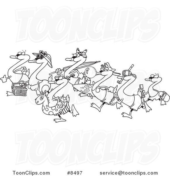 Cartoon Black and White Line Drawing of Seven Swans Going Swimming