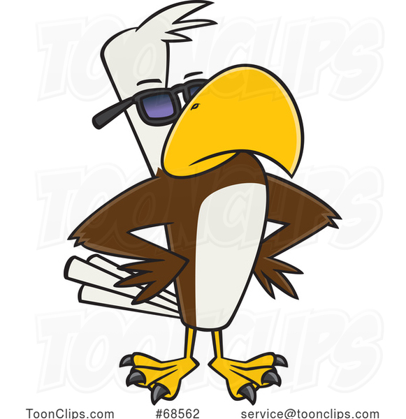 Cartoon Buff Cool Bald Eagle Wearing Sunglasses