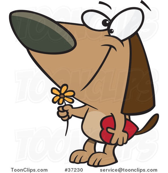 Cartoon Courting Valentines Day Dog with a Flower and Candy Box