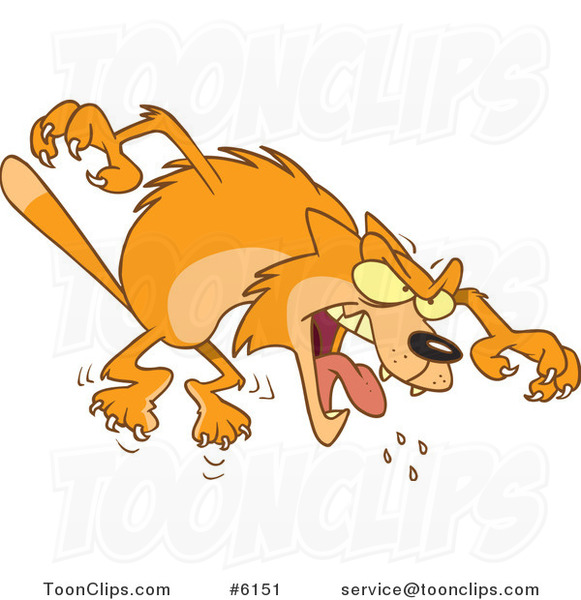 Cartoon Mad Orange Cat Attacking