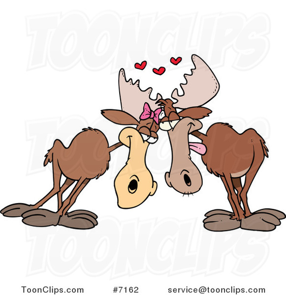 Cartoon Moose Pair in Love