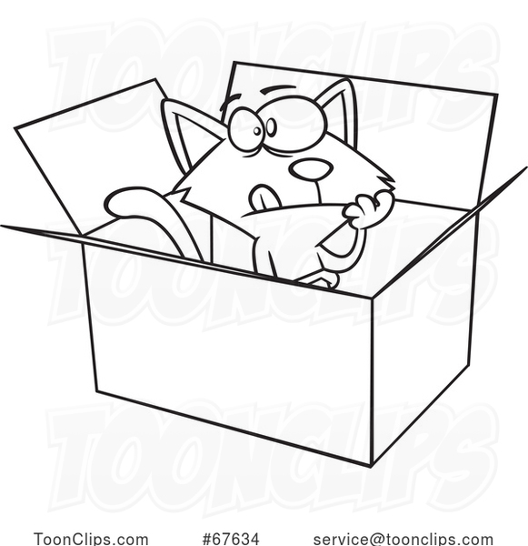 Cartoon Outline Schrodingers Cat in a Box