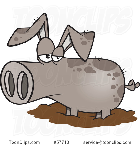 Cartoon Pig in a Mud Puddle