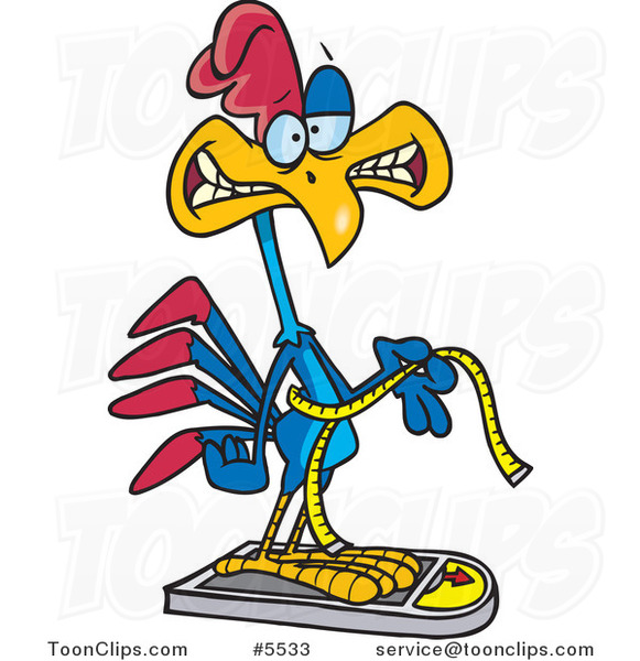 Cartoon Rooster Measuring and Weighing Himself