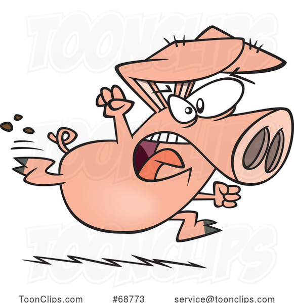 Cartoon Running Angry Pig
