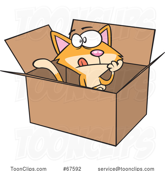 Cartoon Schrodingers Cat in a Box