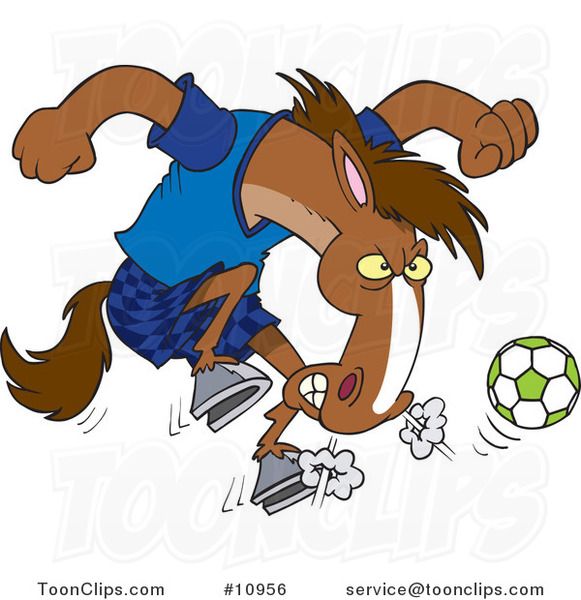 Cartoon Soccer Stallion
