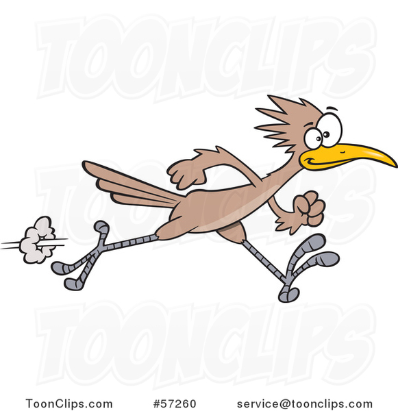 Cartoon Sprinting Roadrunner Bird