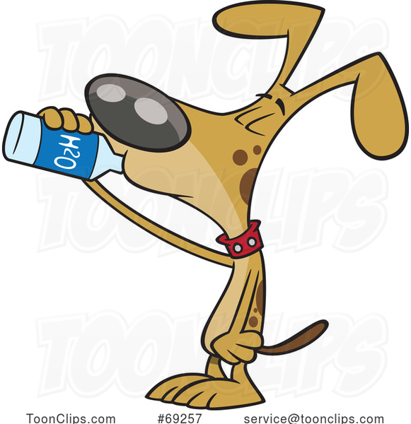 Cartoon Thirsty Dog Drinking Water