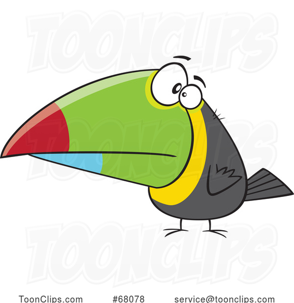 Cartoon Toucan