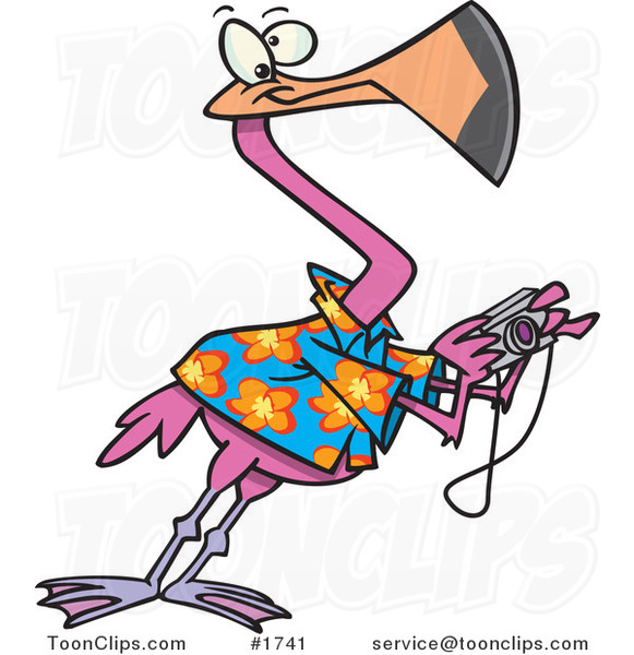 Cartoon Tourist Flamingo Taking Pictures