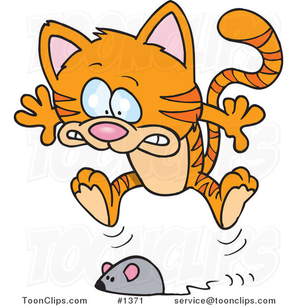 cat chasing mouse cartoon