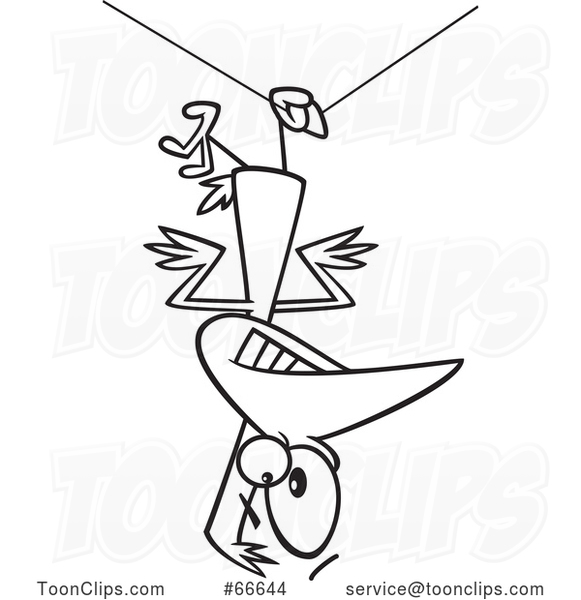 Lineart Cartoon Clumsy Bird Hanging Upside down from a Wire
